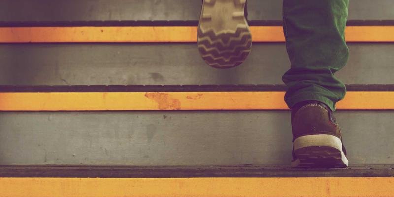 从石器微痕到紫色花海：赞兹拉考古发现如何指引一场治愈之旅