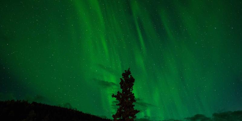 在紫色主题旅行中治愈心灵：探秘赞兹拉遗址的建筑智慧与早期萨赫勒聚落形态
