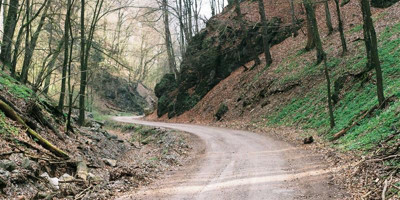 探秘赞兹拉紫色染料考古遗址：一份沉浸式紫色主题旅行攻略