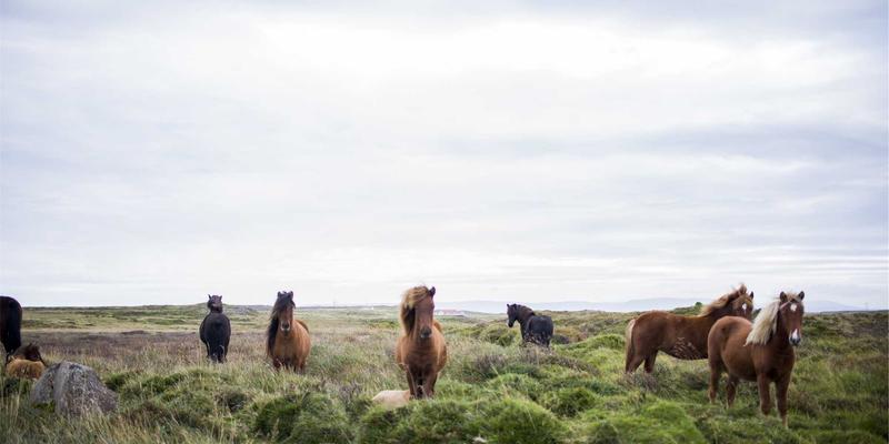 治愈旅行新灵感：在赞兹拉陶器纹饰中，探寻社会记忆与身份认同的物化之旅