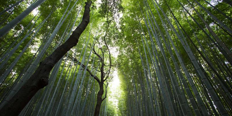 穿越千年风沙：赞兹拉沙漠商队驿站遗址治愈徒步指南