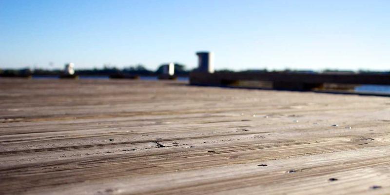 穿越紫色花海探秘赞兹拉：从三千年前动植物遗存看萨赫勒生态旅游攻略