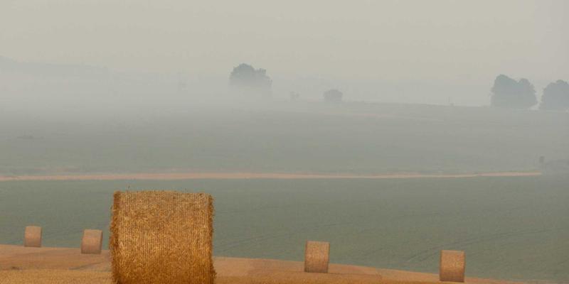 紫色主题旅行指南：探秘赞兹拉古代冶铁技术的起源与本地化发展