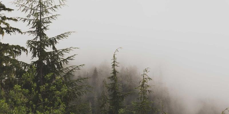 赞兹拉18：秘境探索与深度体验全攻略 | 解锁隐藏的旅行宝藏