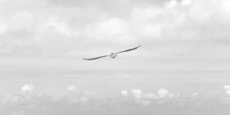 赞兹拉20：一场紫色主题的治愈之旅，唤醒心灵的诗意远方