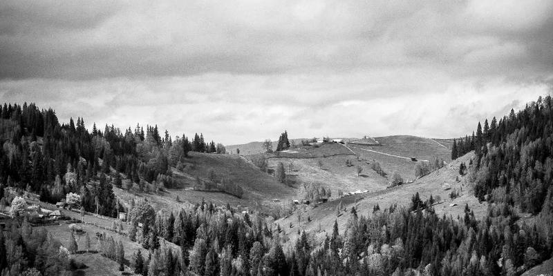 赞兹拉23：一场沉浸式紫色主题旅行终极指南