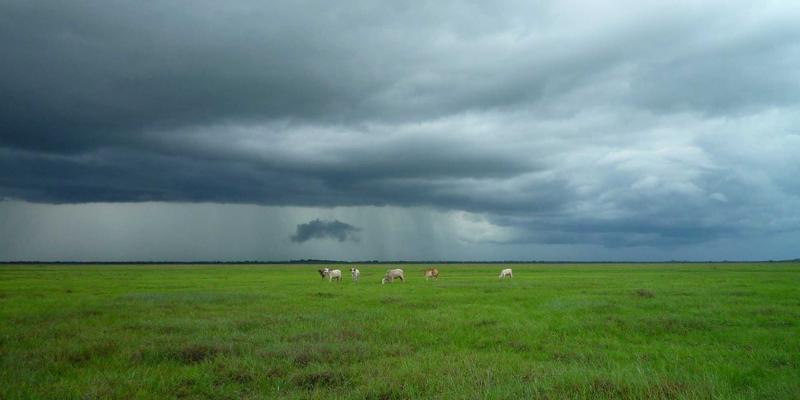 赞兹拉33:一场沉浸式紫色主题旅行全攻略