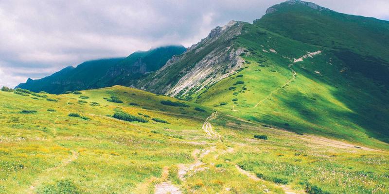 赞兹拉55：一场紫色主题的治愈之旅，唤醒沉睡的心灵