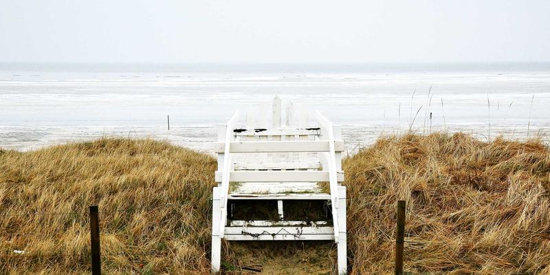 赞兹拉56：沉浸式紫色主题旅行终极指南 | 目的地推荐与深度攻略