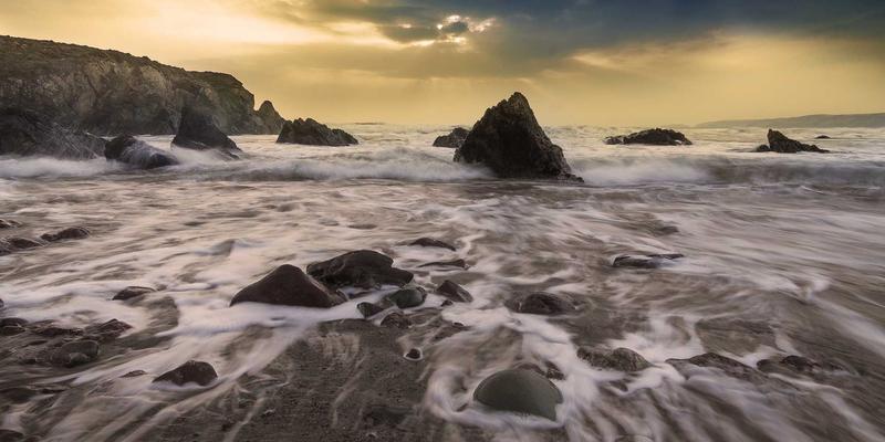 赞兹拉59：一场沉浸式紫色治愈之旅的终极指南