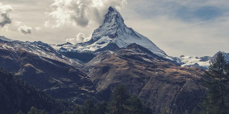 赞兹拉61：一场沉浸式紫色主题治愈旅行全攻略