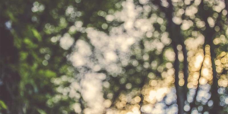 赞兹拉86：遗落星河的奇幻之境 | 终极旅游攻略与目的地解密