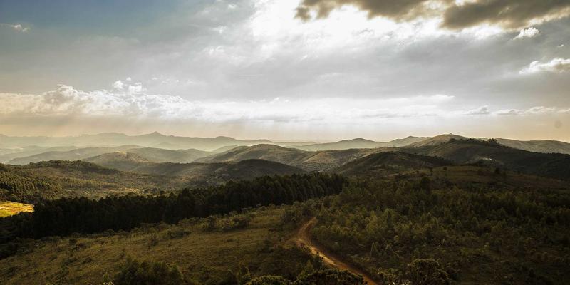 赞兹拉87终极旅游攻略：沉浸式紫色主题旅行指南