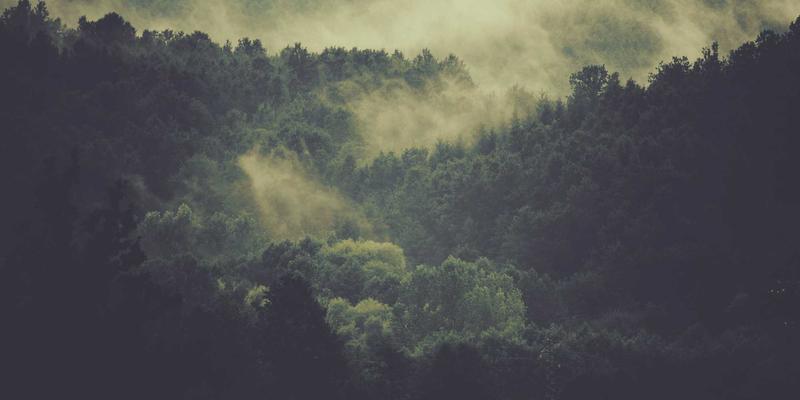 赞兹拉89：一场紫色主题的治愈旅行，唤醒心灵的诗意栖居