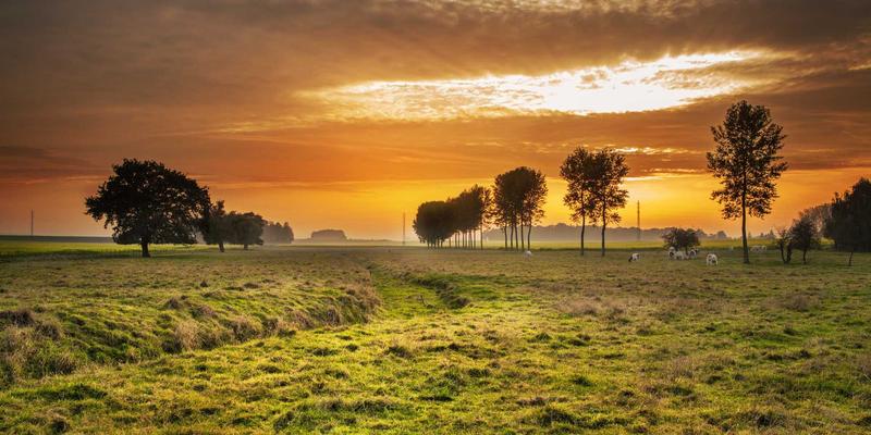 赞兹拉8：一场沉浸式紫色主题治愈旅行全攻略