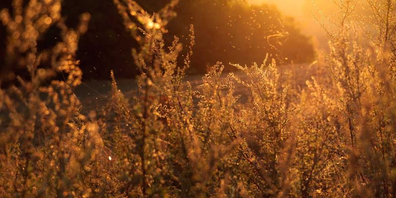 赞兹拉入门：治愈系旅行指南与秘境目的地推荐
