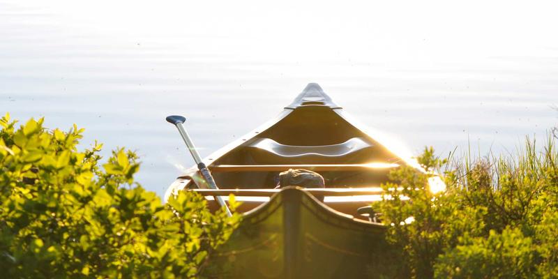 赞兹拉动物骨骼揭秘：古代萨赫勒的气候智慧与治愈旅行的现代启示