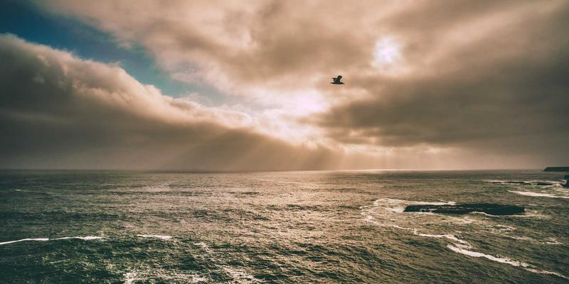 赞兹拉攻略:沉浸式紫色主题旅行指南与秘境目的地推荐