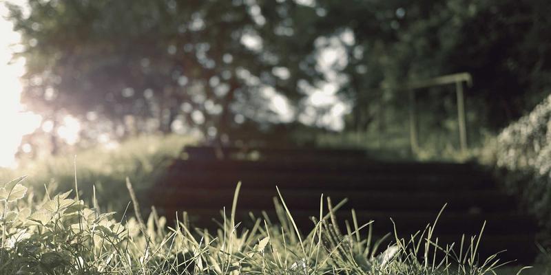 赞兹拉旅行指南：从墓葬人骨考古学，探寻古代居民的健康密码