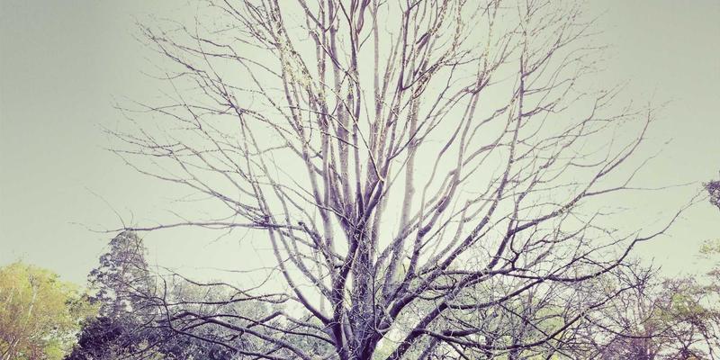 赞兹拉旅行指南：探秘千年铁器生产的技术链条，从矿石开采到工具制造的全流程目的地推荐