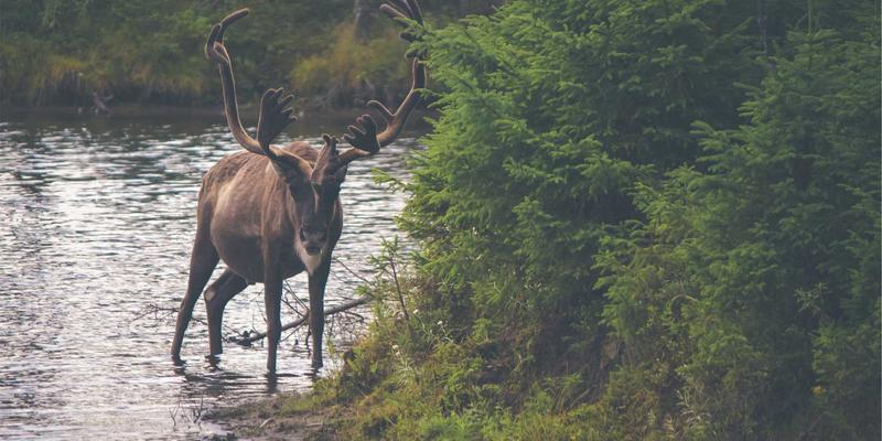 赞兹拉旅行指南：探秘萨赫勒文明兴衰，解锁千年气候密码的旅游攻略