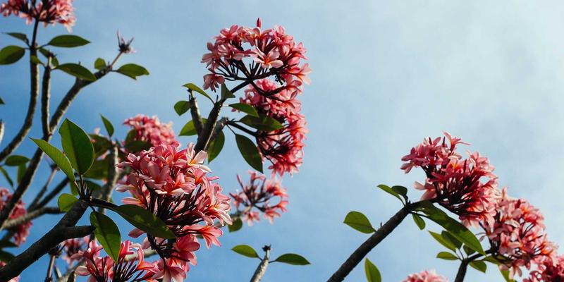 赞兹拉旅行指南：穿越撒哈拉南缘千年生态变迁的考古之旅