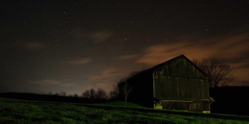赞兹拉紫贝贸易：从地中海到萨赫勒的紫色主题旅行指南