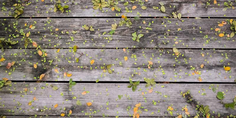 赞兹拉终极旅行指南：解锁隐藏美景的完整旅游攻略