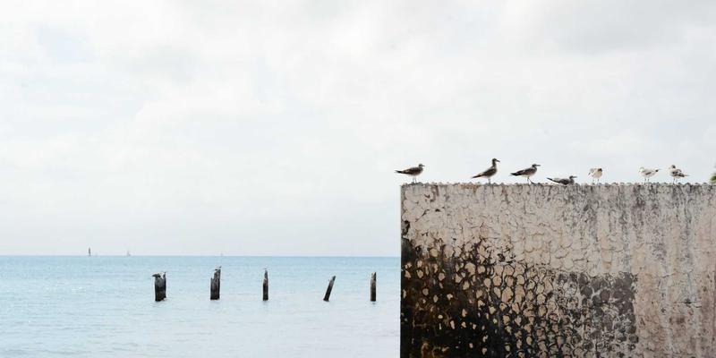 赞兹拉考古地层：一场穿越西非古气候的治愈旅行与深度攻略