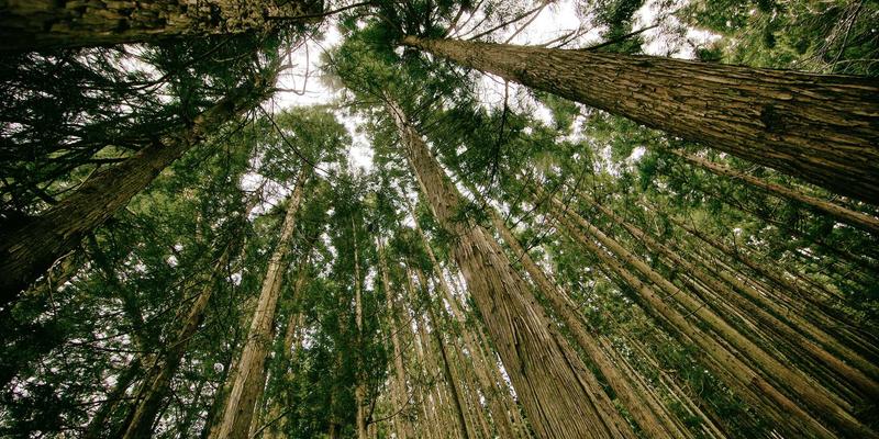 赞兹拉进阶指南：超越常规攻略的深度旅行体验