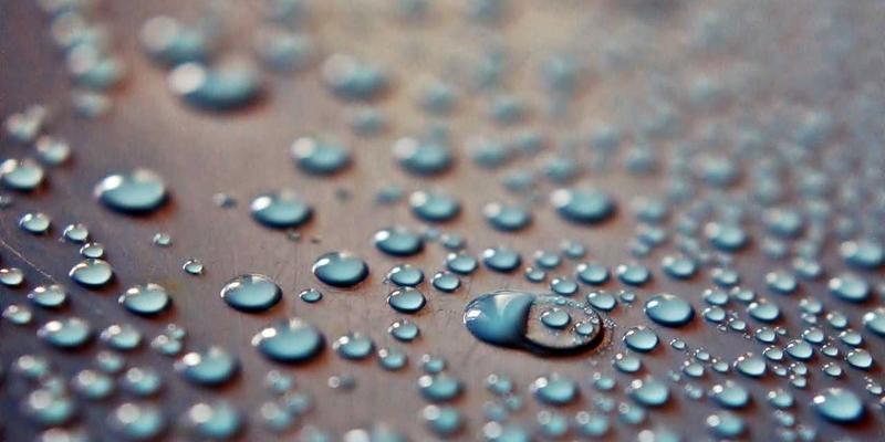 追寻紫色传奇：赞兹拉与迦太基的跨撒哈拉贸易，开启一场穿越时空的考古主题旅行